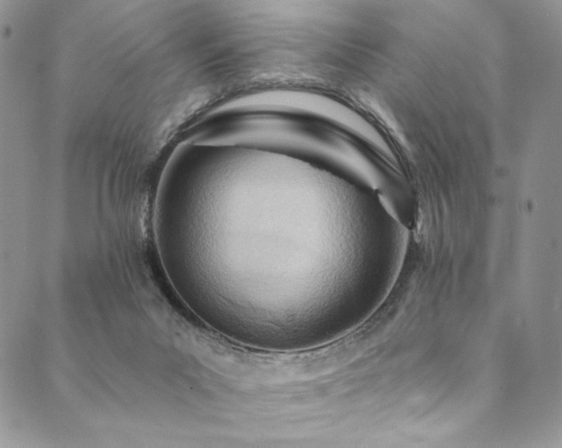 X0000090500023200707131403