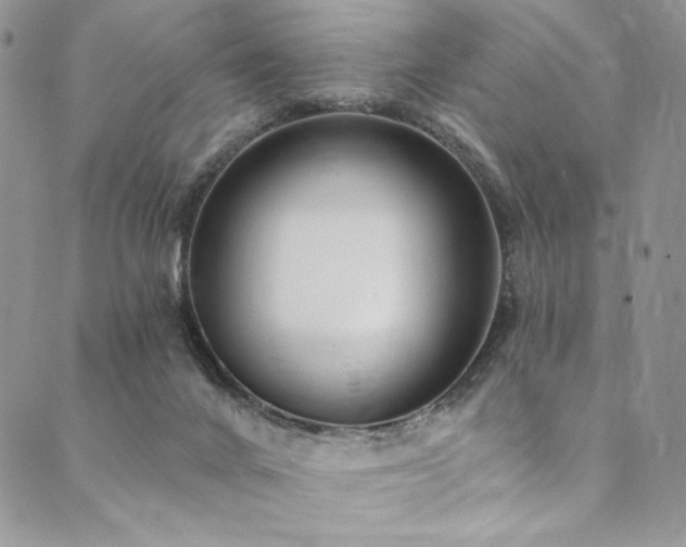 X0000090500024200707131403