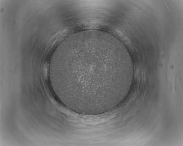 X0000090500026200707131403