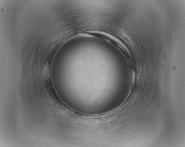 X0000090500029200707131403