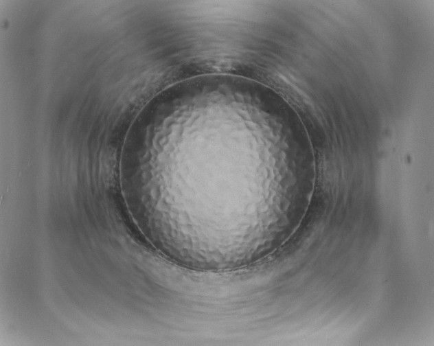 X0000090500030200707131403