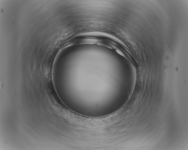 X0000090500031200707131403