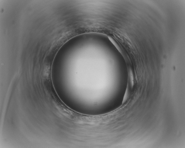 X0000090500033200707131403