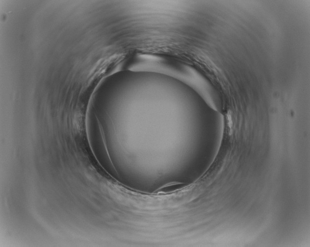 X0000090500035200707131403