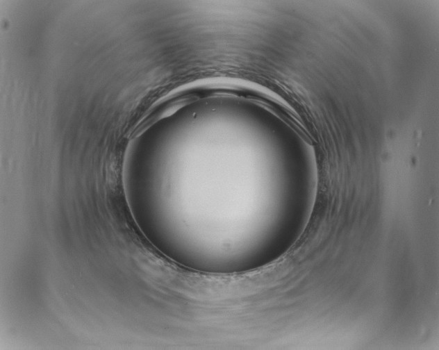 X0000090500037200707131403