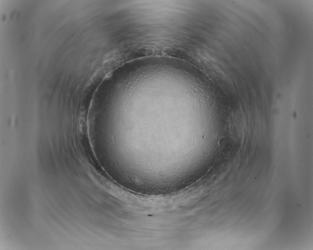 X0000090500038200707131403