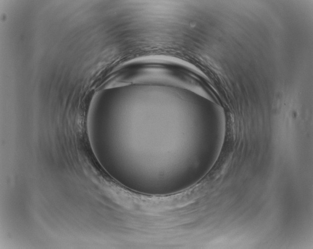 X0000090500039200707131403