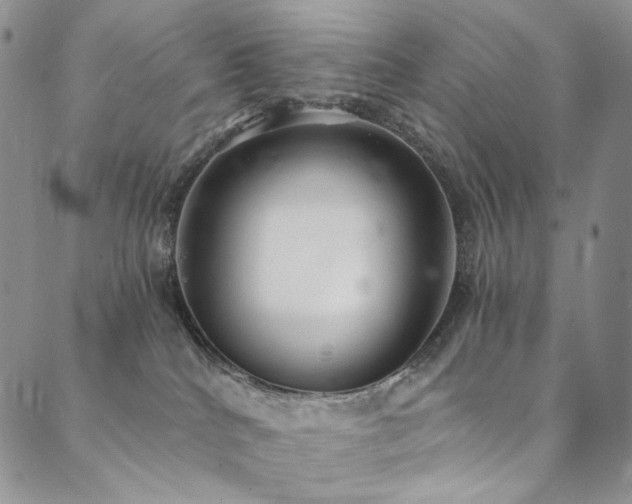X0000090500040200707131403
