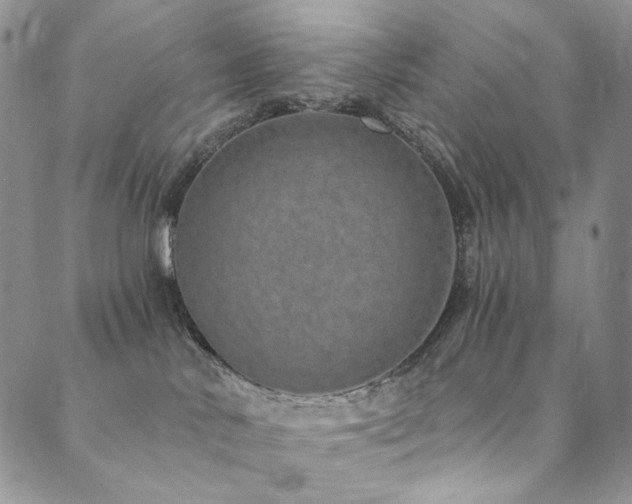 X0000090500042200707131403