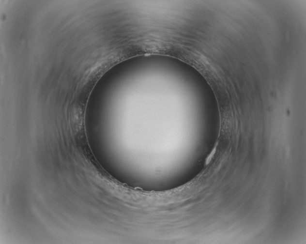 X0000090500043200707131403