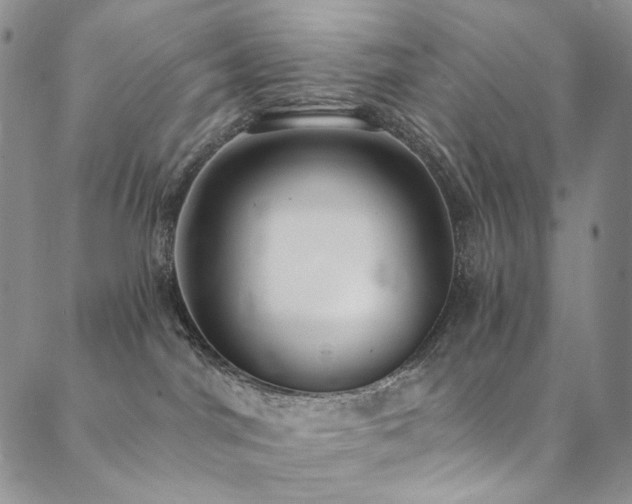 X0000090500044200707131403