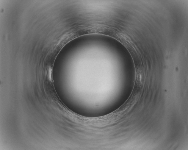 X0000090500046200707131403