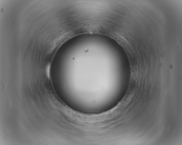 X0000090500047200707131403