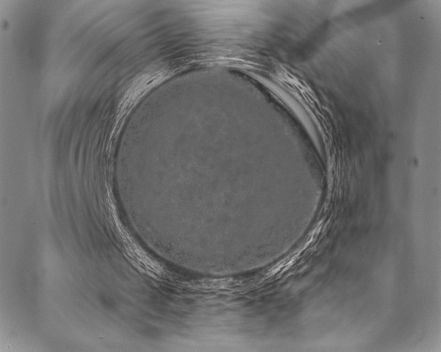 X0000090500049200707131402