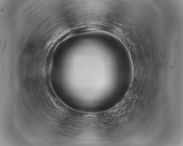X0000090500050200707131402