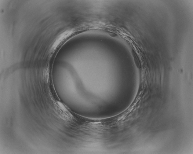 X0000090500054200707131402