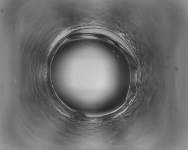X0000090500056200707131402