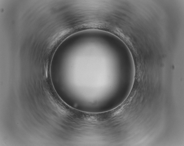 X0000090500062200707131402