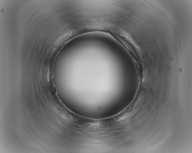 X0000090500068200707131402
