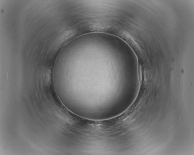 X0000090500071200707131402
