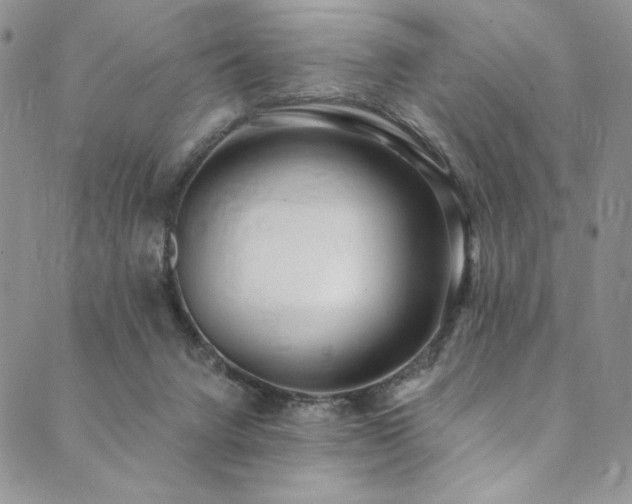 X0000090500072200707131402