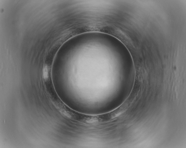 X0000090500075200707131402