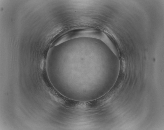 X0000090500076200707131402