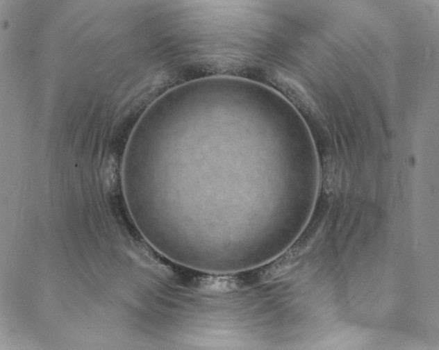 X0000090500077200707131402