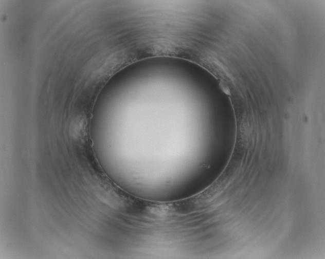 X0000090500079200707131402