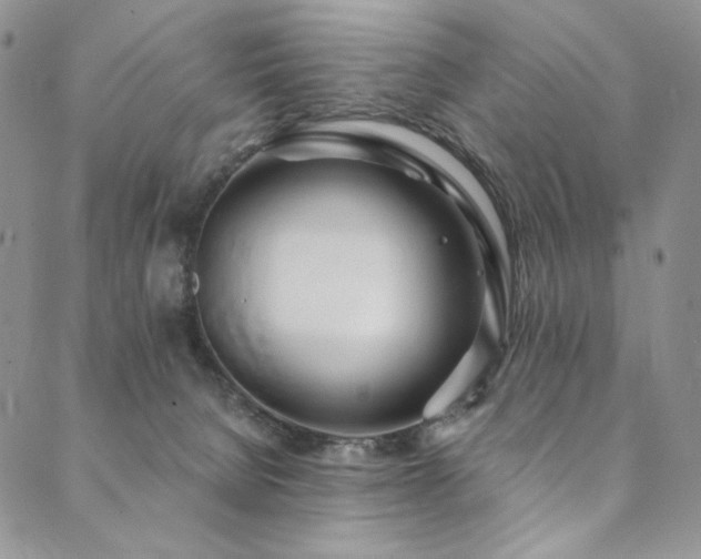 X0000090500080200707131402
