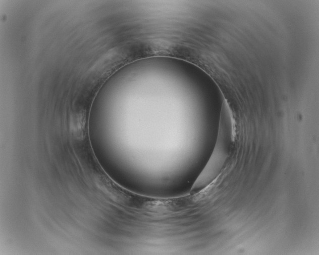 X0000090500082200707131402