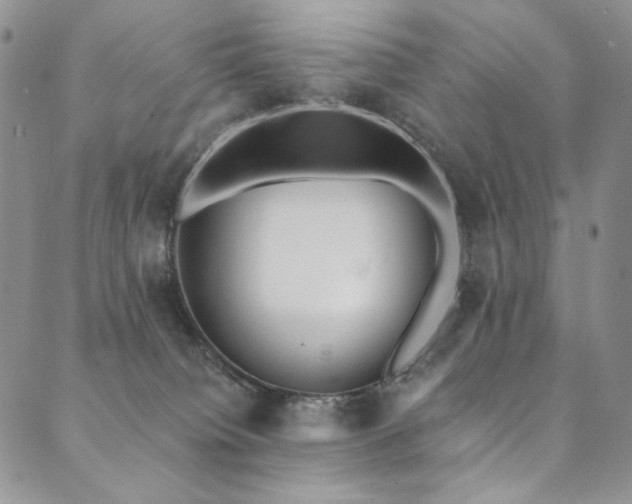 X0000090500084200707131403