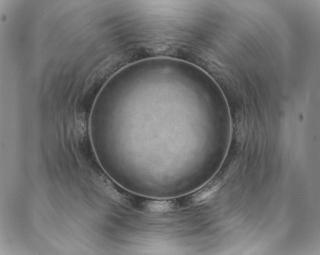 X0000090500085200707131403