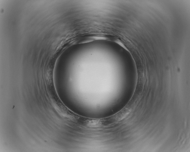 X0000090500088200707131403