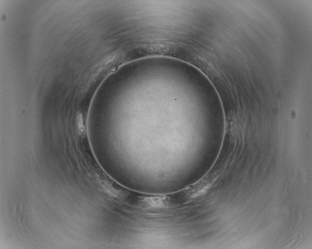 X0000090500089200707131403