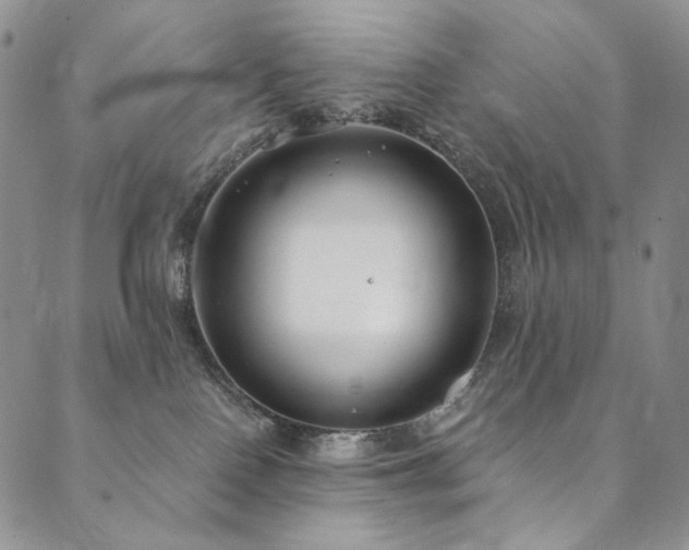 X0000090500090200707131403