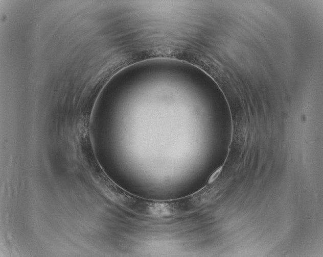 X0000090500091200707131403
