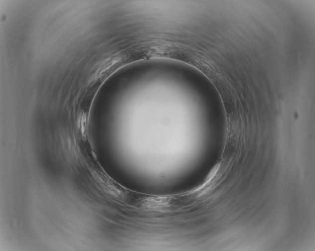 X0000090500094200707131403