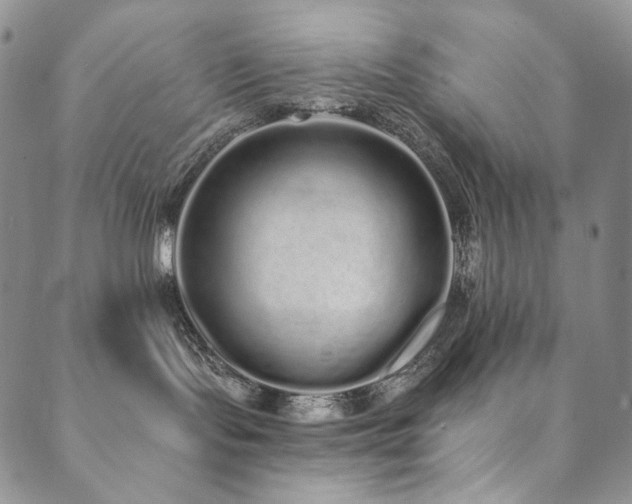 X0000090500095200707131403