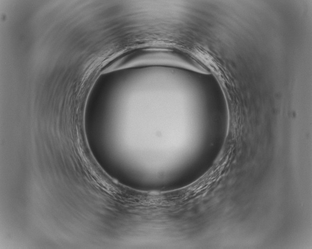 X0000090500097200707131402