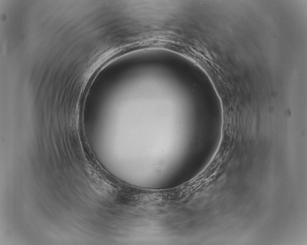X0000090500100200707131402