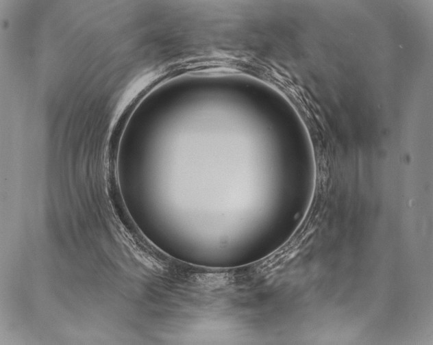 X0000090500102200707131402