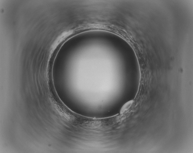 X0000090500104200707131402