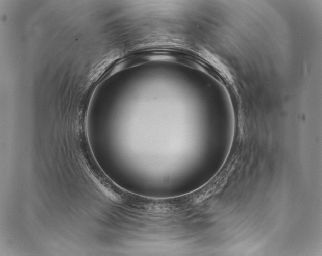 X0000090500105200707131402