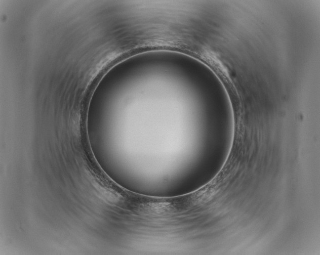 X0000090500108200707131402