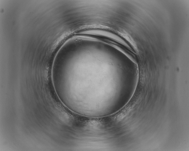 X0000090500111200707131402