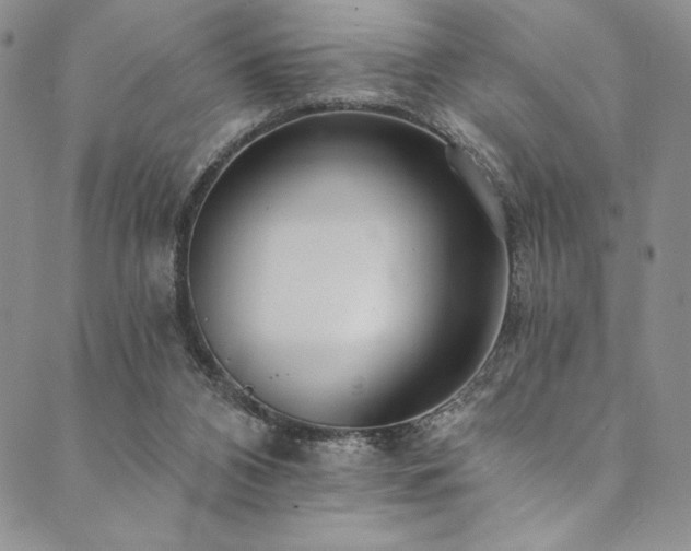 X0000090500112200707131402