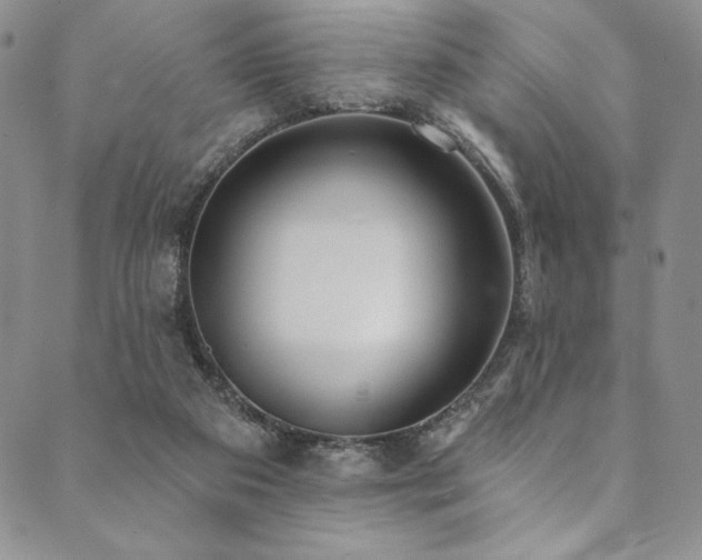 X0000090500113200707131402