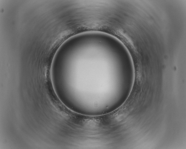 X0000090500115200707131402