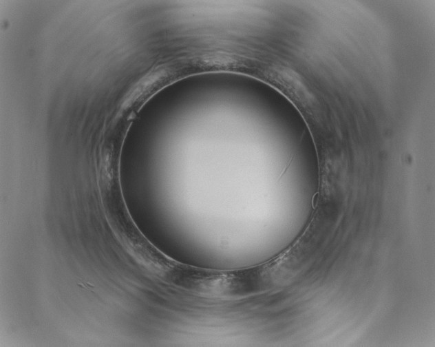 X0000090500116200707131402